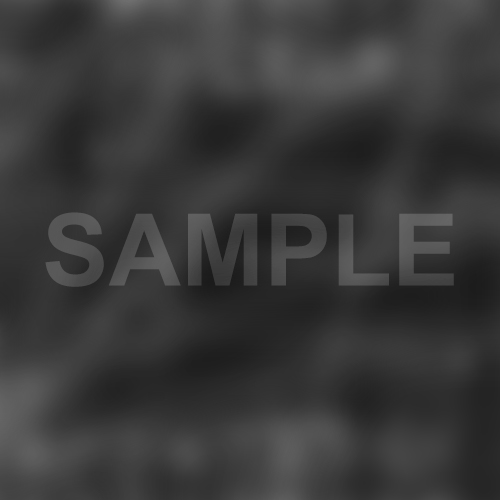 Lorem ipsum odor amet, consectetuer adipiscing elit.